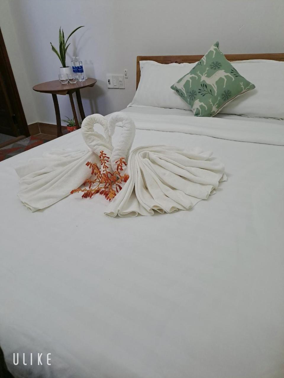 Công Mẫn Homestay Hội An Extérieur photo